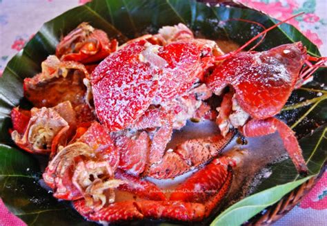 Batanes’ Culinary Celebrity: The Coconut Crab (or .